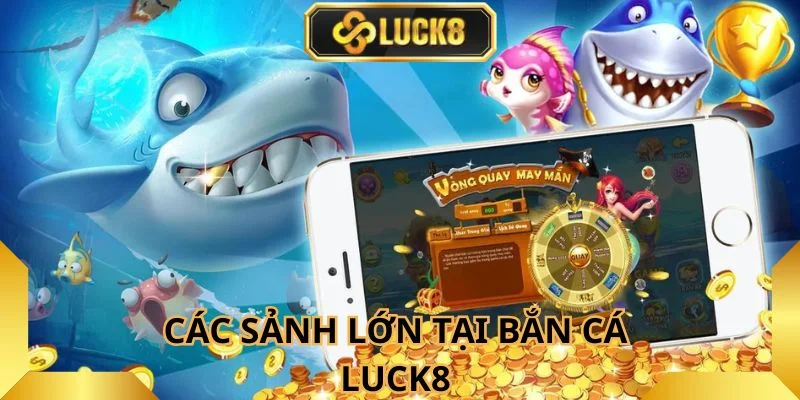 thuong-hieu-luck8-hop-tac-nhieu-sanh-top-hien-nay